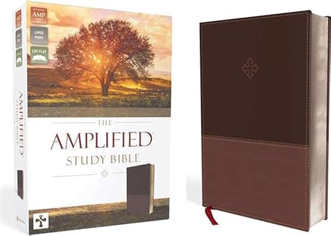 Amazon.com: amplified study bible large print