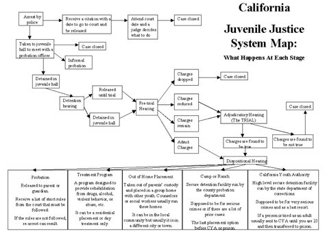 Juvenile Court Process Flow Chart