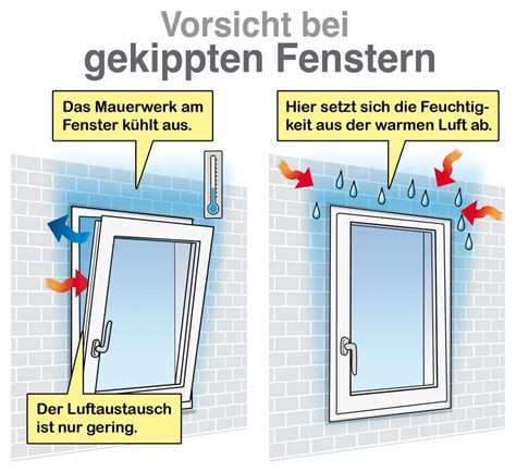 Schimmel Am Fenster Wie Er Entsteht Und Was Man Tun Kann