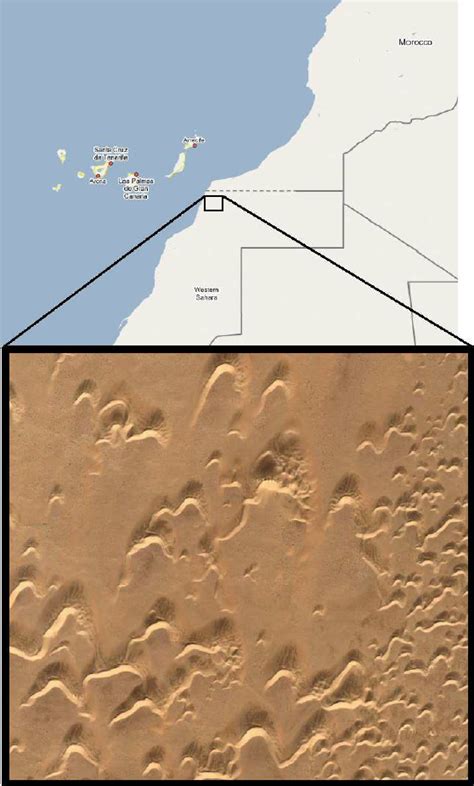 Example of a barchan dune field in Morocco, West Sahara. Note that the... | Download Scientific ...