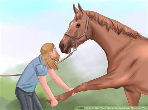 How To Get Your Horse To Trust You 20 Helpful Tips Horses Horse