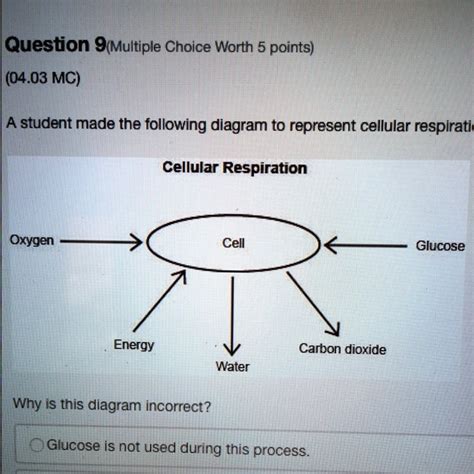 Solved A Student Made The Following Diagram To Represent Cellular