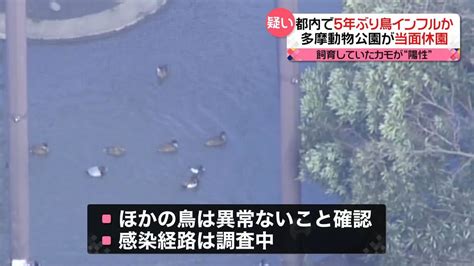 当面休園へ多摩動物公園で鳥インフルエンザ疑い 確定すれば都内で5年ぶり（2023年2月15日掲載）｜日テレnews Nnn