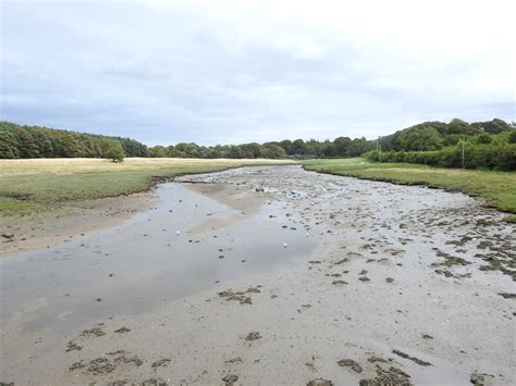 Aberlady Bay Local Nature Reserve - British Dragonfly Society