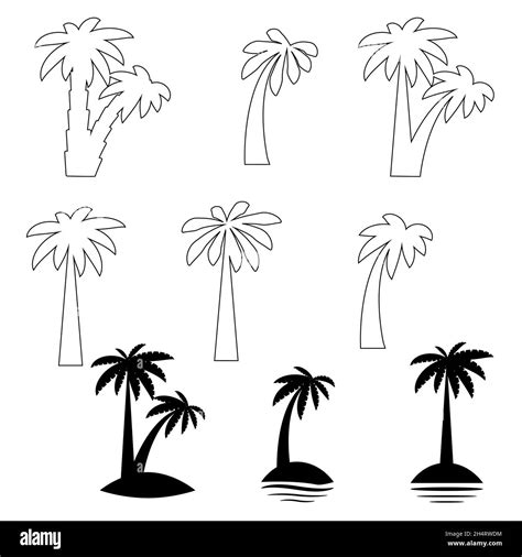 Set Tropical Palm Trees With Leaves Mature And Young Plants Black