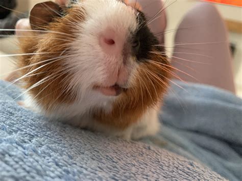 648 Best Pink Lips Images On Pholder Makeup Addiction Pan Porn And Muacirclejerk