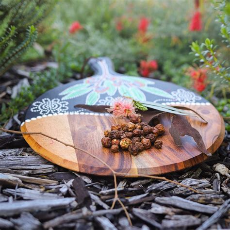 Learn about Aboriginal Bush Foods - WA Parks Foundation