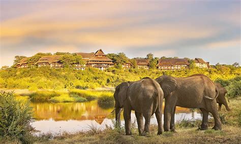 Star African Safari Luxury Rail Tour Package Tripadeal