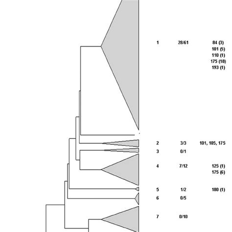 Dendrogram Illustrating Genetic Relationships Among Wa Typ