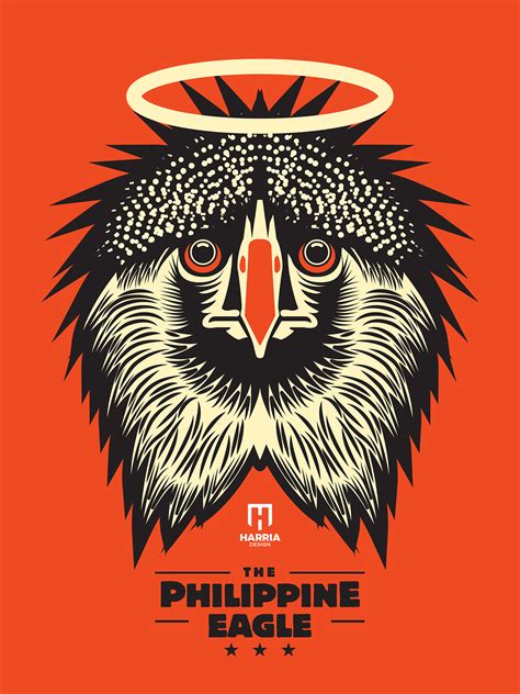 Philippine Eagle on Behance