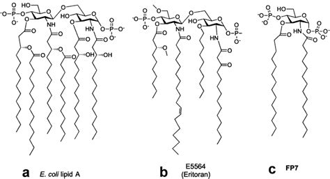 Chemical Structures Of E Coli Lipid A A The Natural Tlr Agonist Download Scientific