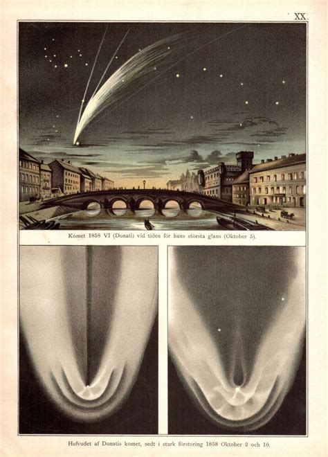 Rare Antique Astronomy Print Showing Different Comets From Weiss S