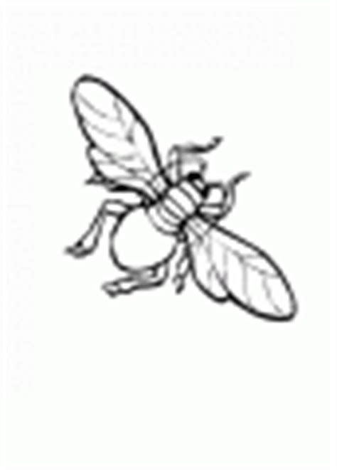 Coloriage Mouche Imprimer Dans Les Coloriages Insecte Dessin Imprimer