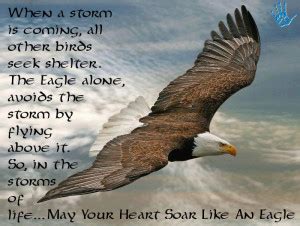 Eagle Scout Motivational Quotes. QuotesGram