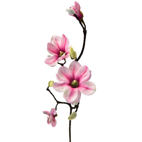 Floristik24 ch Kunstblume Magnolienzweig Magnolie künstlich Rosa 59cm