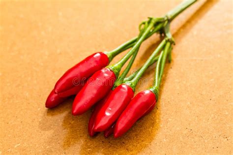 Red Hot Chili Peppers Stock Photo Image Of Healthy 305889872