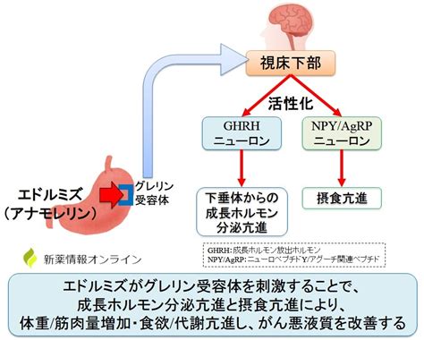 がん悪液質の治療薬が承認 残る桜も 散る桜ー膵臓がん完治の記録