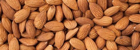 Almond Benefits And Its Side Effects Lybrate