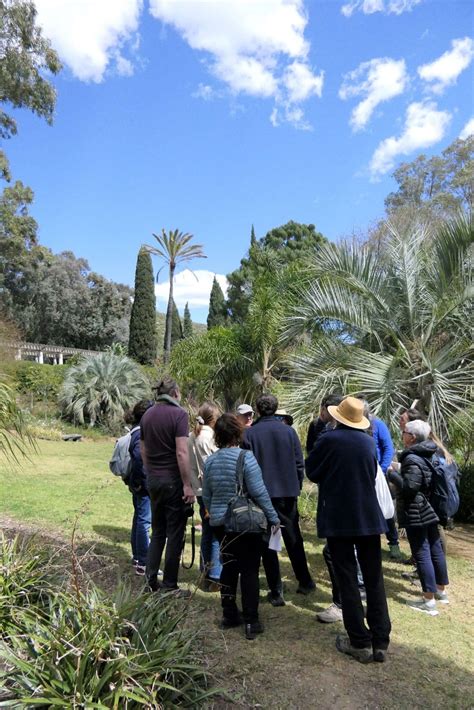 Tiers Paysage Arbres Jardins D Couverte Avec G Cl Ment