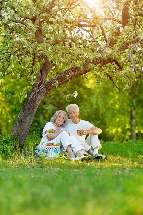 Retrato De Amar Os Pares Idosos Que Sentam Se Na Grama Verde No Parque