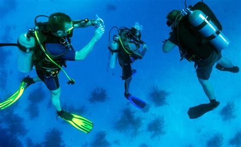 PADI Divemaster In Marsa Alam Advenius