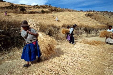 A Am Rica Latina A Nova Fronteira Para Investimentos De Impacto