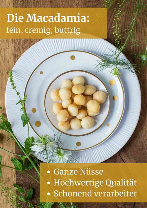 Macadamia geröstet und gesalzen Feine Nüsse