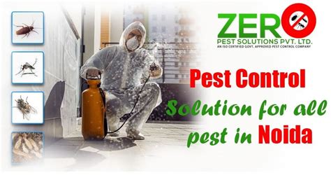 Eco Friendly Pest Control Solutions In Noida Protecting Your Home And The Environment Zero