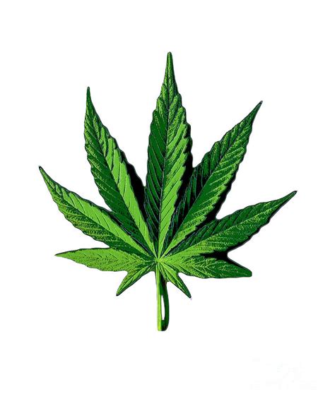 Weed Leaf Digital Art by Herbei Gabriel - Fine Art America