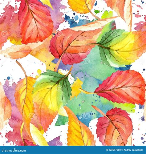 Colorful Watercolor Autumn Leaves Leaf Plant Botanical Garden Floral