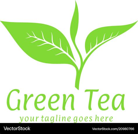 Green tea logo Royalty Free Vector Image - VectorStock