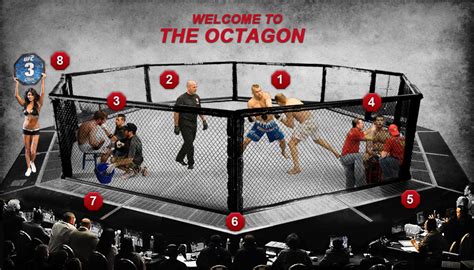 The Octagon® Get Inside