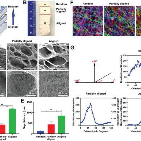 Preparation and characterization of expanded nanofiber scaffolds with ... 