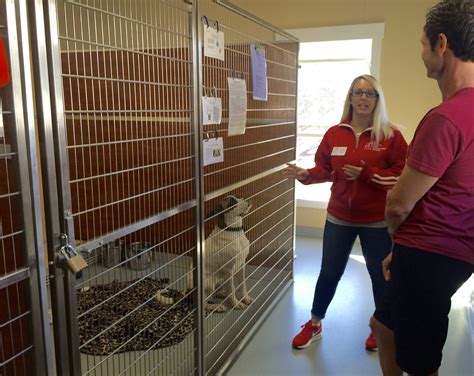 animal shelter st charles 1