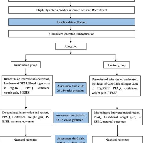 Pragmatic Randomized Controlled Trial Flowchart Download Scientific