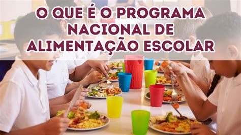 O QUE É O PROGRAMA NACIONAL DE ALIMENTAÇÃO ESCOLAR Nutri da teoria à