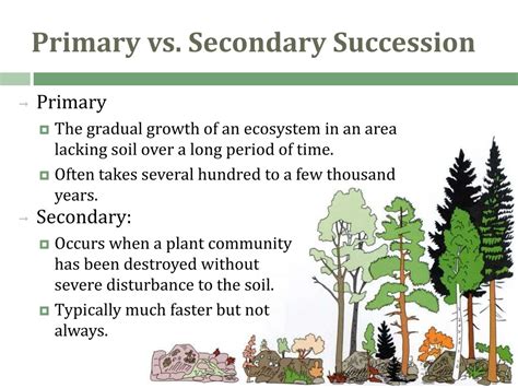 Ppt Ecological Succession Change In An Ecosystem Powerpoint