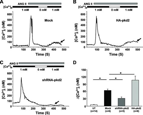 Fura 2 Fluorescence Ratiometry Measurement Of Intracellular Ca 2