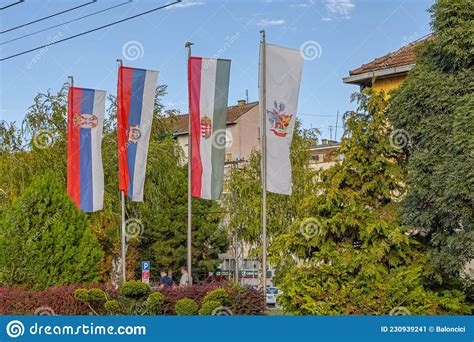 Temerin Flags editorial photo. Image of park, serbia - 230939241