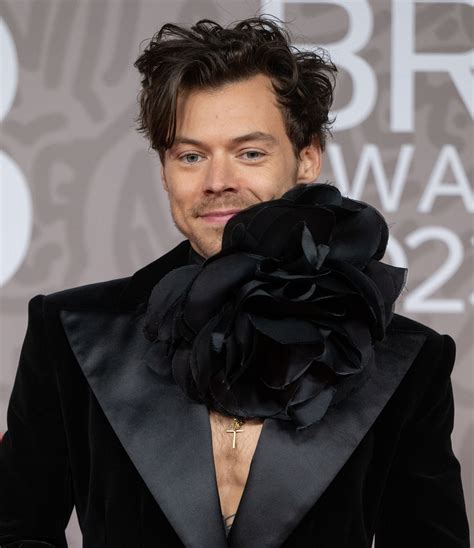 Harry Styles Wasn't Cast as Little Mermaid's Prince Eric in Because He