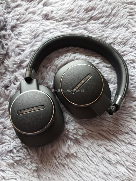Harman Kardon FLY ANC - 기타후기 - 어미새