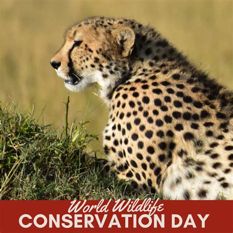 World Wildlife Conservation Day