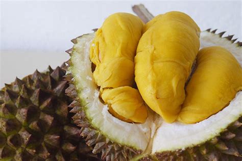 Types Of Durians And How To Pick The Best One Blog Youtrip Singapore