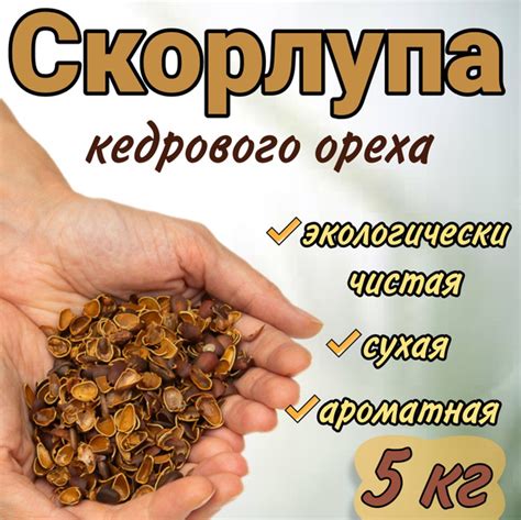 Скорлупа кедрового ореха 5 кг с Горного Алтая - купить с доставкой по ...