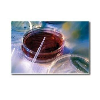 Biocides buy in New Delhi