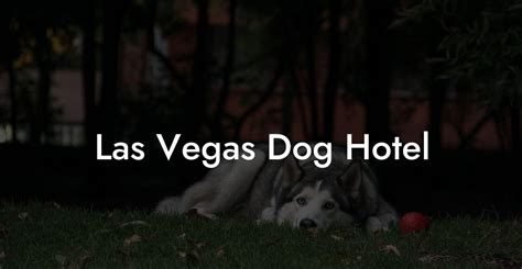 Las Vegas Dog Hotel - Dog Hotels