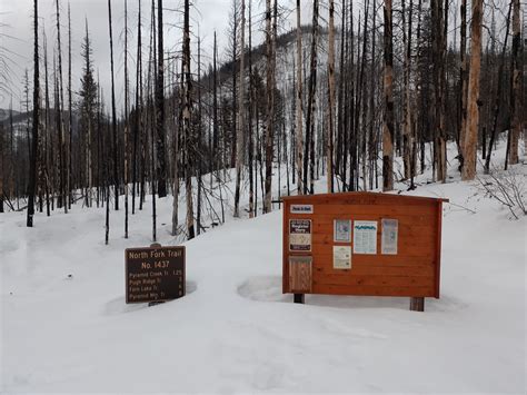 This guide explains how to navigate cardinal station during peak hours 31