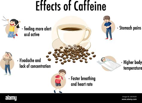 Effects Of Caffeine Information Infographic Illustration Stock Vector