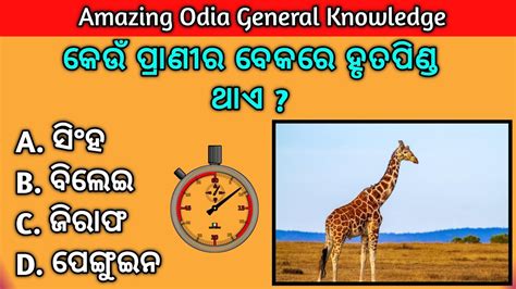 Online Quiz Odia General Knowledge In Odia Gk In Odia Odia