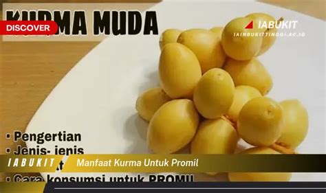 Temukan 7 Manfaat Kurma Untuk Promil Yang Bikin Kamu Penasaran Discover